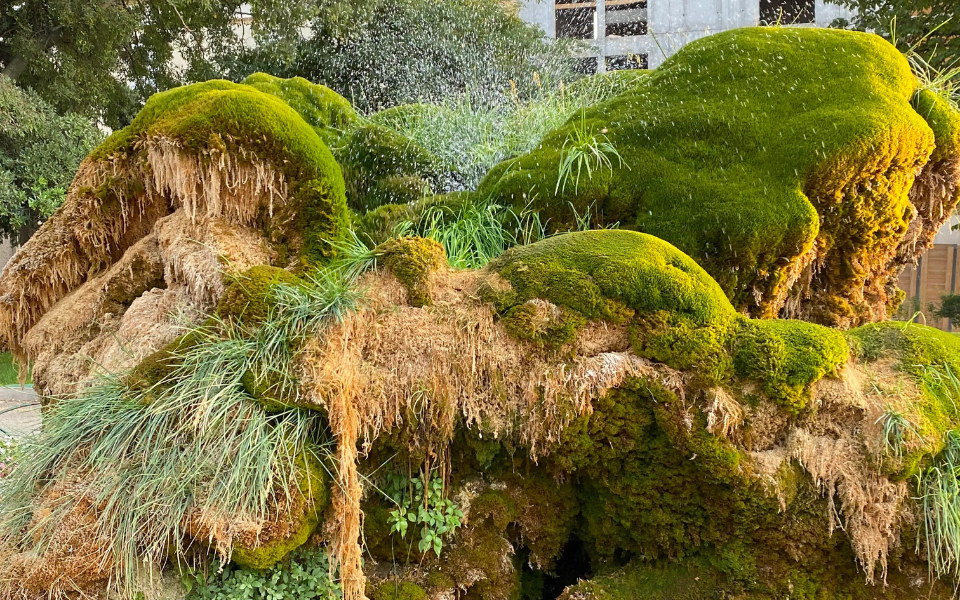Moss_Featured_Image